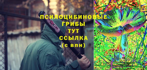 хмурый Вязьма