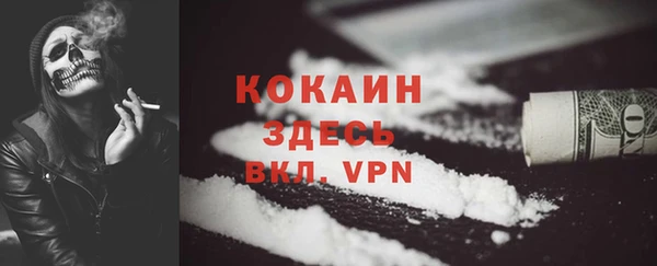 сатива Вязники