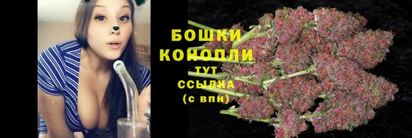 сатива Вязники